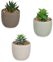 Bizzotto Set 3 plante suculente artificiale in ghiveci ceramica multicolora Ø7x10h (0173171)