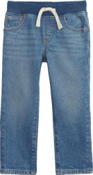 GAP Denim (810118-00)