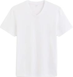 CELIO Debasev (1128130)
