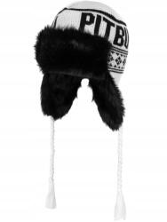 Pitbull Téli sapka Pitbull Mission Bay fülvédő sapka szőrmével Pilóta meleg (614005019001)
