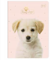 Interdruk A5-ös füzet, 16 lapos, színes kockás, lányos (5902277213181)