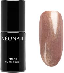 NEONAIL Winter Symphony unghii cu gel folosind UV / lampă cu LED culoare Frozen Flame 7.2 ml