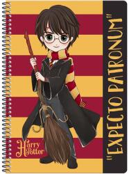 Graffiti Тетрадка Graffiti - Harry Potter, Expecto Patronum, А4, Спирала, 60 листа (22405_HP)