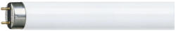 Philips fénycső T8 18W 6500K 1300lm 60 cm G13