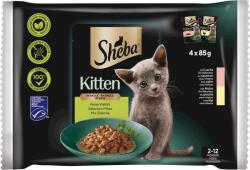 Sheba Kitten tasakos nedvestáp szószban - Finom változatosság, 4x85g - 340 g