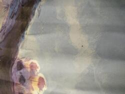 Takoy 2. Osztály - Gyorsan száradó törölköző 50x90 bagoly Luma