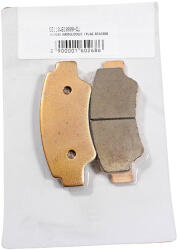 PowerForce Set 2 placute frana spate QJ Motor SFA1000 OEM (55110W610000-QJML) - mxenduro
