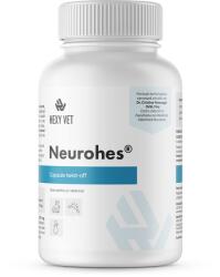 Hexyvet Pharma NeuroHes pentru caini E i pisici , Supliment neurologic veterinar pentru sustinerea sistemului nervos