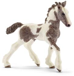 Schleich Animal - mânzul lui Tinker (13774) Figurina