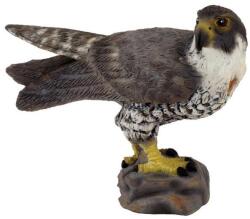 CollectA Soimul pelerin (M1188399) Figurina