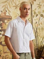  Manfinity Csíkos Ing 3PACK (M) (611376)