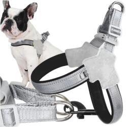 Real Fényvisszaverő mellényhám kis kutya vagy macska számára M méret (RC-K-833)