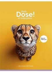 Shkolyaryk Publishing House Füzet, tűzött, A5, kockás, 48 lap, SHKOLYARYK Nice to meet you , vegyes (A5-048-5253K)