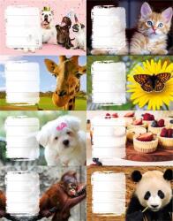 Panta Plast Füzetcímke, 24 db, PANTA PLAST, Girls (0424-0006-70)