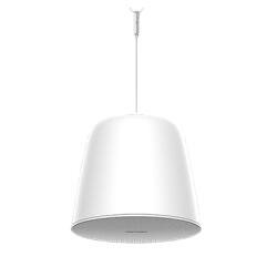 Hikvision Difuzor Analog, 30W, montare suspendat de tavan - HIKVISION DS-QAZ0530G1 (DS-QAZ0530G1)