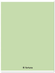Fortuna Füzet kockás FORTUNA Monocolor A/5 32 lapos 27-32 pasztell zöld (01_08672)