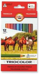 KOH-I-NOOR Triocolor háromszögletű vastag 12 db-os vegyes színesceruza készlet (7140145000)