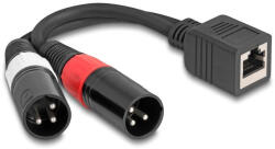 Delock Adapter RJ45 kábel anya - 2 x XLR 3 tűs apa, fekete színű 20 cm (88179) - flylite