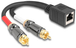 Delock RJ45 adapter kábel apa - 2 x RCA apa fekete, 20 cm (88172) - flylite