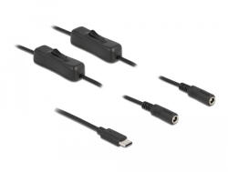 Delock USB Type-C apa - 2 db. DC 5, 5 x 2, 1 mm anya csatlakozójú kábel 1m (86800) (86800) - flylite
