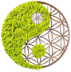 Wallity Fa és moha fali dekoráció, yin-yang, 44 cm (931NTR1106)