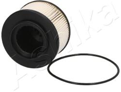 ASHIKA Palivový filter ASHIKA 30-09-989 (30-09-989)