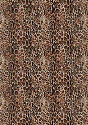 Takoy Panou pentru coaserea unei pături Wellsoft fleece 140x200 leopard