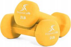 prosourcefit Kézi súlyzók Neoprén ProsourceFit 2x 0, 9kg 2 db (234)
