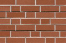 ABC Caramida Klinker Munsterland rot-nuanciert, neteda, NF (240x115x71 mm) (ABC-200154)