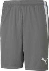 PUMA Team Liga Shorts (70492413)