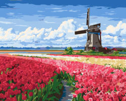 Alkotásutca Holland tulipánmezők - Számfestő készlet kereten 40x50