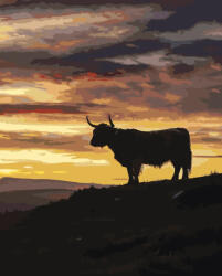 Alkotásutca Aranyég árnyéka - Számfestő készlet kereten 40x50