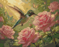 Alkotásutca Kolibri és rózsák - Számfestő készlet kereten 40x50