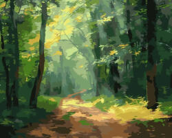 Alkotásutca Sugárzó ösvény - Számfestő készlet kereten 40x50