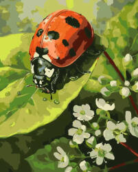 Alkotásutca Apró felfedező, nagy világ - Számfestő készlet kereten 40x50