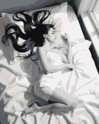 Alkotásutca Csend a párnák között - Számfestő készlet kereten 40x50