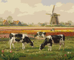 Alkotásutca Virágmező Nyugalma- Számfestő készlet kereten 40x50