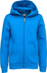 PUMA Teamgoal 23 Casuals Hooded Jacket Jr (68195901)