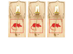 Garden of Eden Egérfogó szett (3 db) (55648B)