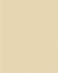 FOLIA Dekorkarton, 2 oldalas, 50x70cm, 220 g, 10 lap, FOLIA, bézs (61221010) - papir25