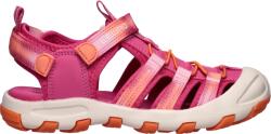 Lewro GRADY 31