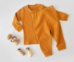 BabyCosy Set bluzita cu maneca lunga si pantaloni lungi din bumbac organic si 5% elastan - Sofran, BabyCosy (Marime: 9-12 luni) (BC-CSYR4501-9)