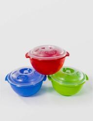 Sterk Castron cu capac, 2, 5 Litri, cu model, din plastic, Sterk, diverse culori (721)