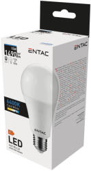 Entac LED Globe E27 15W CW 6400K (LLG27-15W-CW) - everyo