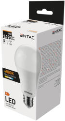 Entac LED Globe E27 15W NW 4000K (LLG27-15W-NW) - everyo