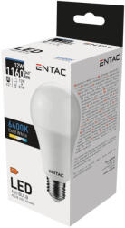 Entac LED Globe E27 12W CW 6400K (LLG27-12W-CW) - everyo