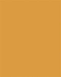 FOLIA Dekorkarton, 2 oldalas, 50x70cm, 220 g, 10 lap, FOLIA, okkersárga (FL61221017) (FL61221017)