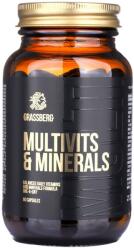 Grassberg Multivits & Minerals, 60 capsule, Grassberg