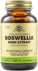 Solgar Boswellia Resin Extract, 60 capsule vegetale, Solgar
