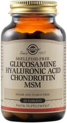 Solgar Glucosamine, Hyaluronic Acid, Chondroitin & MSM, 60 tablete, Solgar